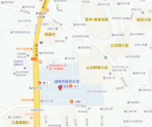 湖南中医药大学湘杏学院地址在哪里？