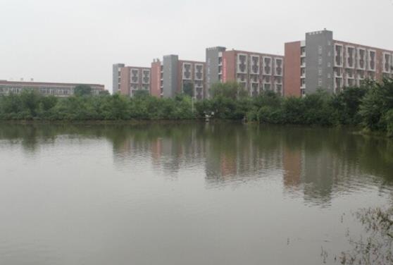 重庆交通职业学院招生计划   
