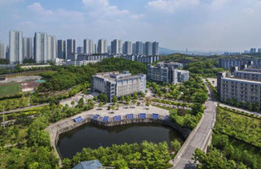 重庆城市管理职业学院是公办还是民办？