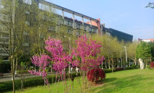 重庆医药高等专科学校好不好？