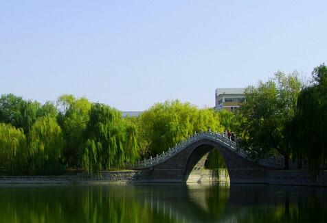 2020年重庆文化艺术职业学院录取规则是什么？