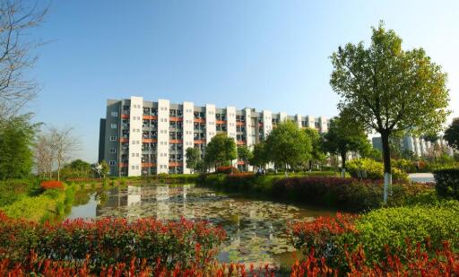 重庆医药高等专科学校师资评价好不好？