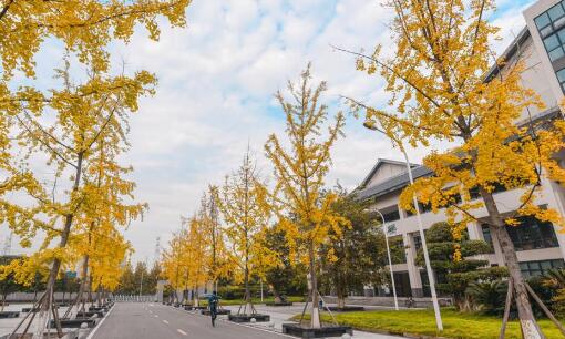重庆工程职业技术学院就业前景怎样？