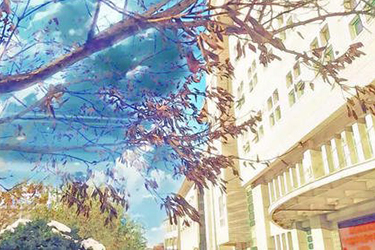 重庆医药科技学校2020年招生分数线
