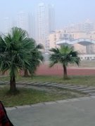 北大附中成都实验学校如何？管理教学怎么样？