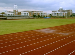 温州医科大学2019报名时间及报名方式