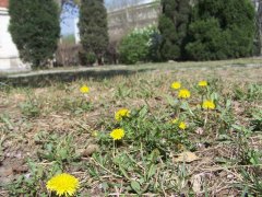 天津中医药大学招生老师QQ及电话