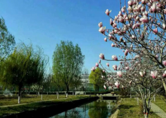 河北化工医药职业技术学院地址在哪里？