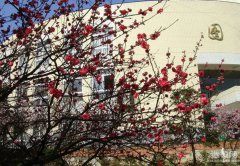 辽宁师范大学教育学院地址在哪里
