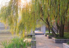 辽宁师范大学教育学院2019招生办电话及联系方式