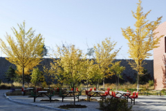 朝阳师范高等专科学校地址在哪里