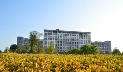 中南大学湘雅医学院2020招生录取分数线