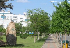 沈阳市艺术幼儿师范学校招生老师QQ及电话