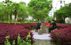 萍乡学院学前教育学院2019招生简章及计划