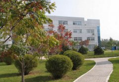 沈阳师联幼师学校2019招生录取分数线
