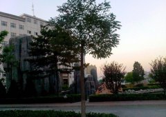 晋中职业技术学院2019有哪些专业及什么专业好