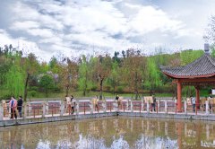 沈阳师联幼师学校招生老师QQ及电话