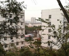 宁波城市职业技术学院2019报名时间及报名方式