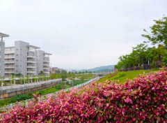 湖南师范大学医学院2019招生录取分数线