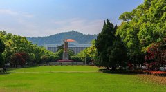 浙江大学医学院2019招生录取分数线