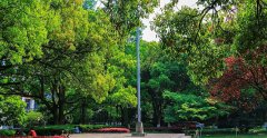 浙江大学医学院2019学费是多少钱及收费标准
