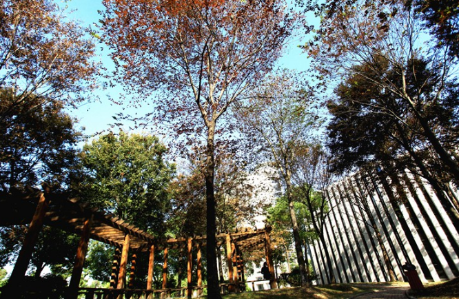 湖州师范学院