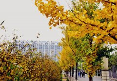天津职业技术师范大学2019有哪些专业及什么专业好