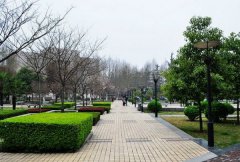 山东省临沂卫生学校2019有哪些专业及什么专业好