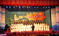 辽宁医学院医疗学院2020报名时间及报名方式