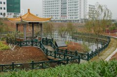 广州中医药大学2020年报名时间及报名方式