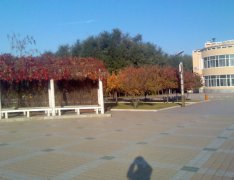 沈阳医学院2019报名时间及报名方式