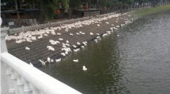 长春中医药大学2019招生录取分数线