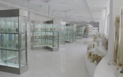 山东省临沂卫生学校地址在哪里