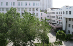 阳江技师学院2020招生录取分数线