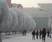 河源职业技术学院2020有哪些专业及什么专业好