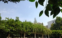 平顶山教育学院2019有哪些专业及什么专业好