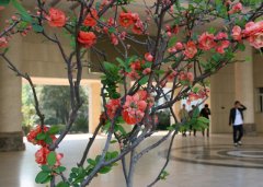 青海大学医学院2019学费是多少钱及收费标准