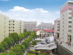 青海大学医学院2019招生录取分数线