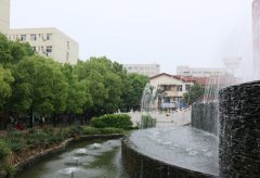 青海大学医学院2019招生简章及计划