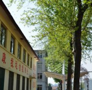 曲阜中医药学校曲阜中医药学校