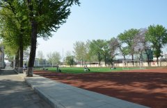 曲阜中医药学校2019招生简章及计划