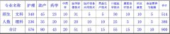 济南护理职业学院2019招生简章及计划