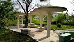 曲阜中医药学校地址在哪里