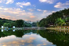 深圳职业技术学院医学技术与护理学院2019学费是多少钱及收费标准