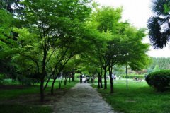 山东煤炭卫生学校2019有哪些专业及什么专业好