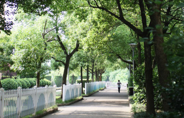 浙江师范大学