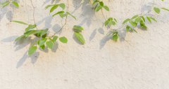 湖南地区学前教育专业最好的学校是哪个