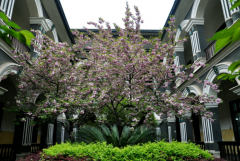 湖南第一师范学院2019学费是多少钱及收费标准