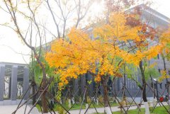 铁岭卫生职业学院2019学费是多少钱及收费标准