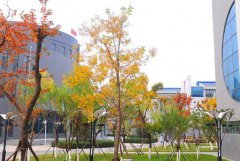 铁岭卫生职业学院地址在哪里
